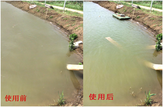 渾濁水、對蝦吃料差怎么處理？